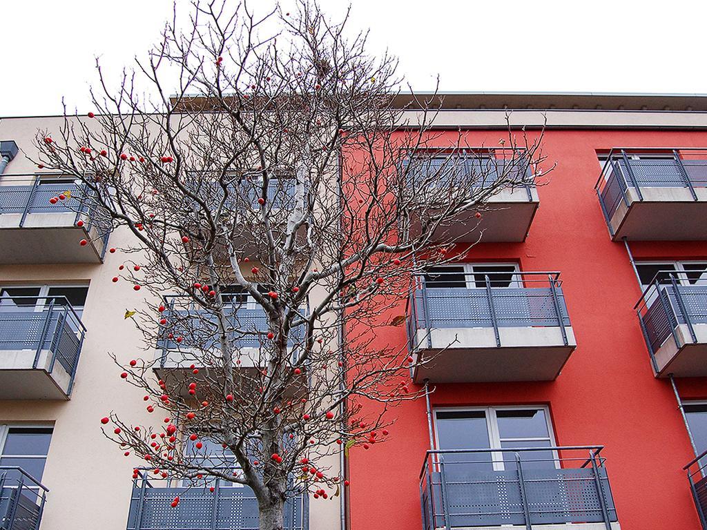 Boardinghouse Campus Lounge Paderborn Extérieur photo